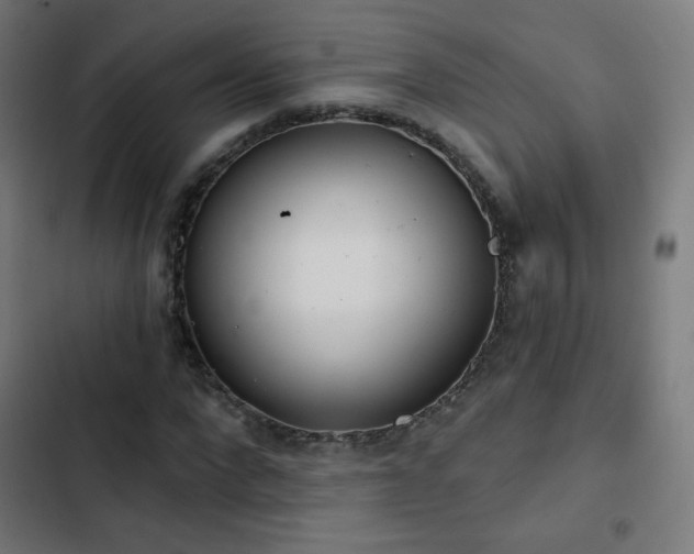 X0000103440872200809121401