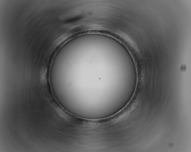 X0000103440873200809121401