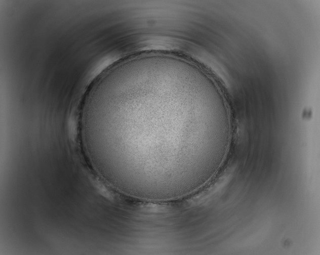 X0000103440874200809121401