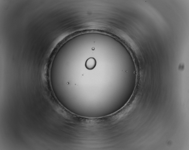 X0000103440875200809121401