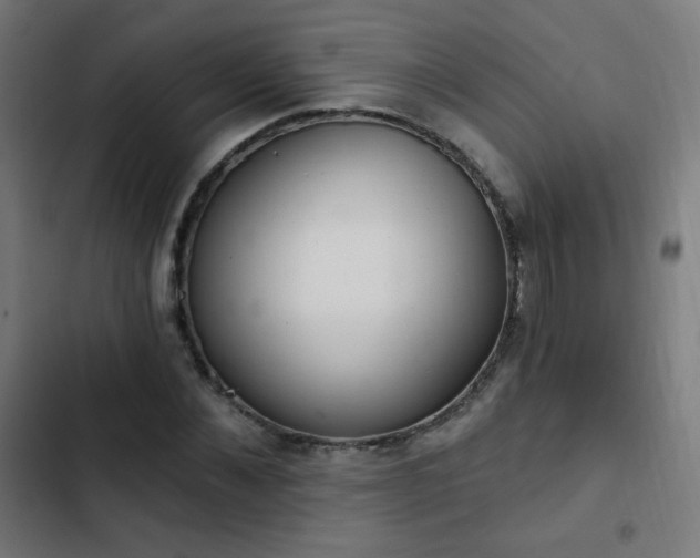 X0000103440876200809121401