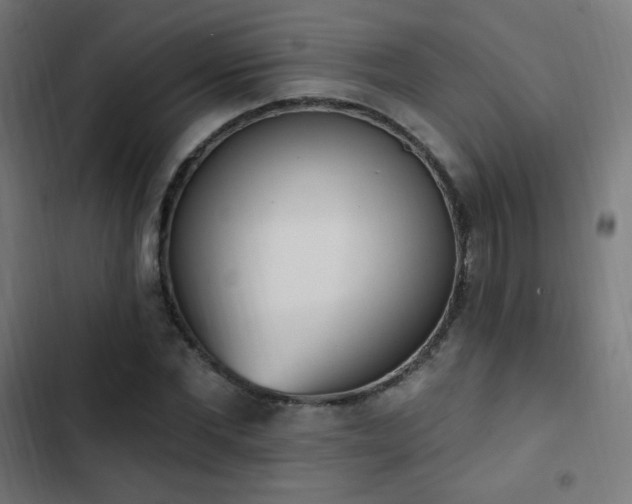X0000103440877200809121401