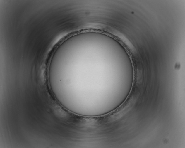 X0000103440878200809121401