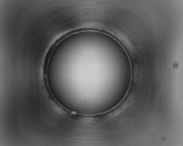X0000103440880200809121401