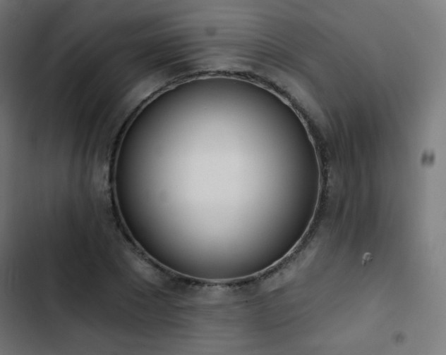 X0000103440881200809121401