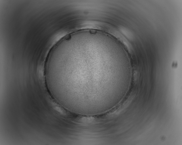 X0000103440882200809121401