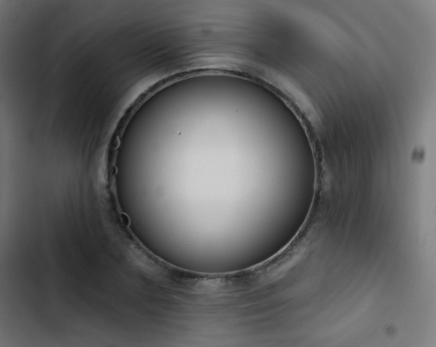 X0000103440883200809121401