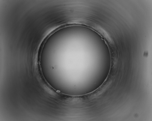 X0000103440884200809121401