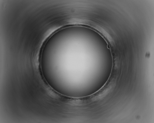 X0000103440885200809121401