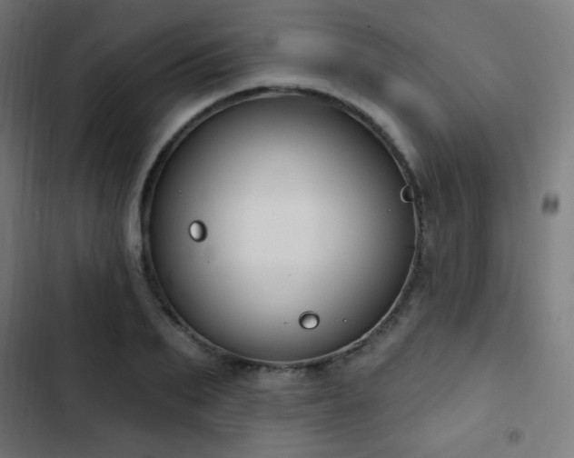 X0000103440887200809121401