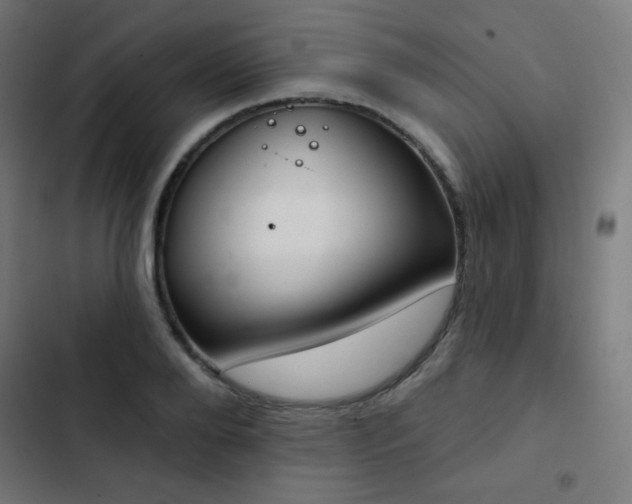 X0000103440888200809121400
