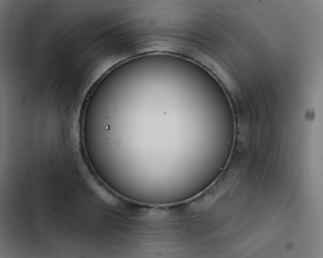 X0000103440890200809121400