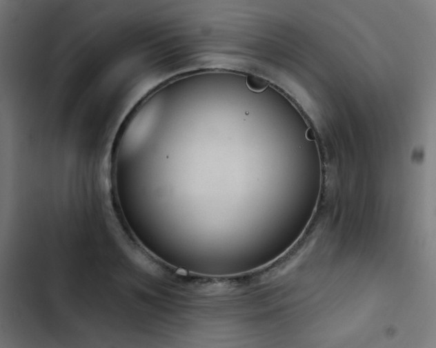X0000103440891200809121400