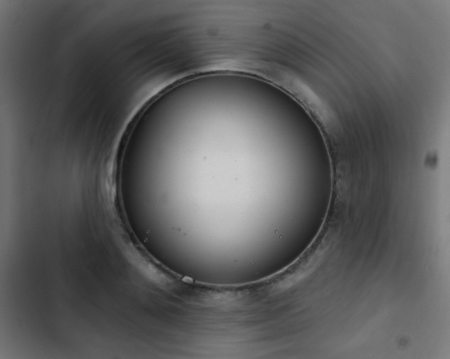 X0000103440892200809121400