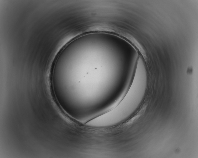 X0000103440893200809121400