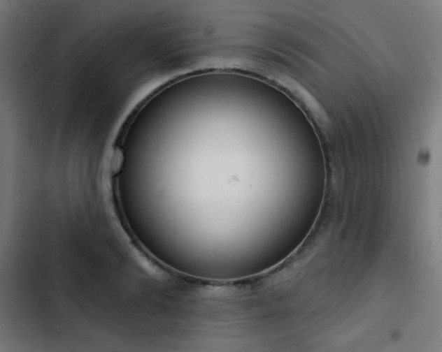 X0000103440894200809121400