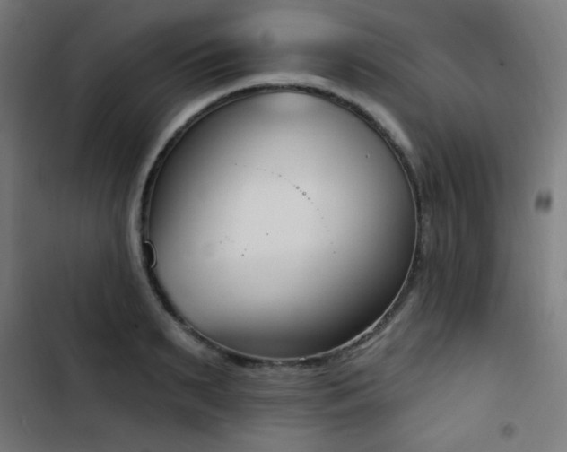 X0000103440895200809121400