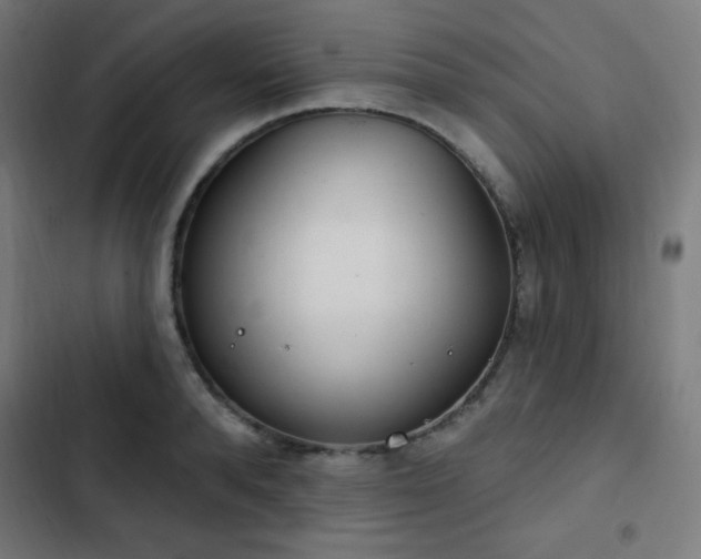 X0000103440896200809121400