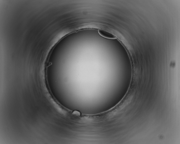 X0000103440898200809121400