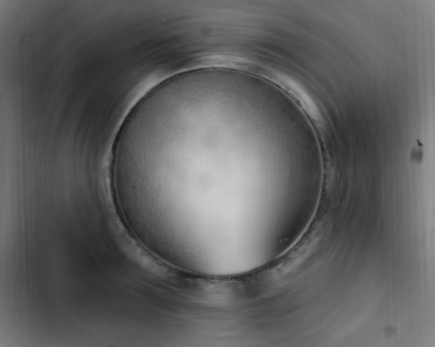 X0000103440899200809121400