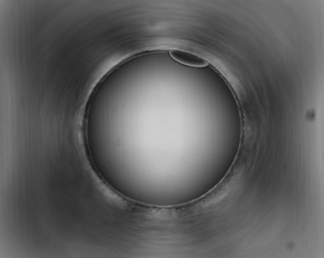 X0000103440901200809121400