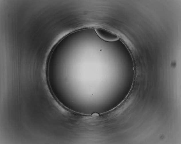 X0000103440902200809121400