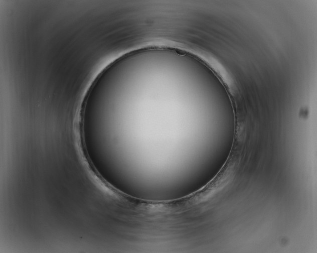 X0000103440903200809121400