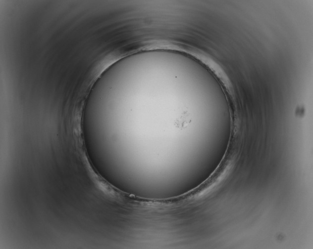 X0000103440905200809121400