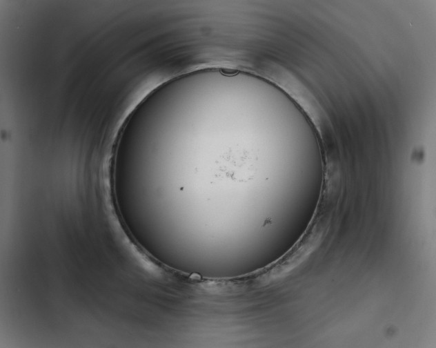 X0000103440906200809121400