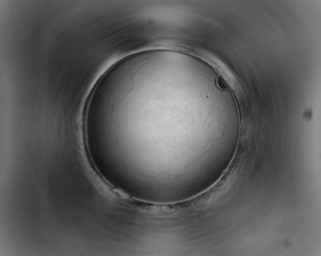 X0000103440907200809121400