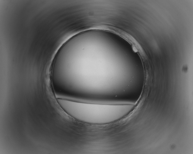 X0000103440908200809121400