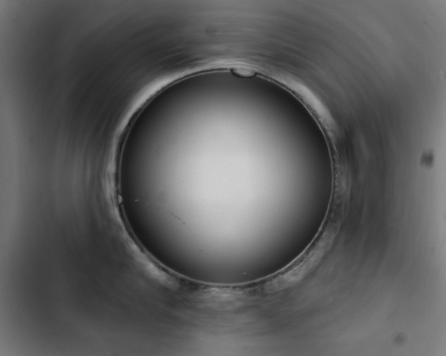 X0000103440910200809121400