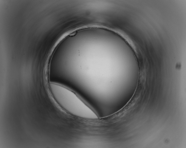 X0000103440911200809121400