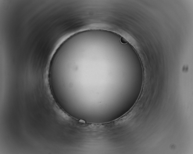 X0000103440912200809121400
