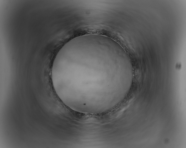 X0000103440913200809121359