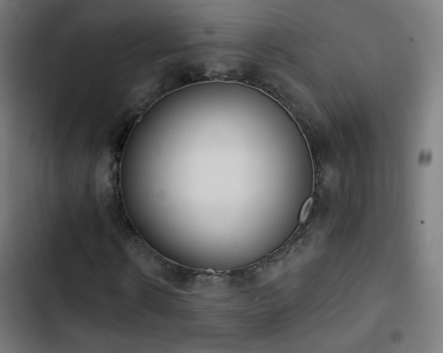 X0000103440914200809121359