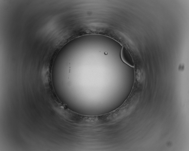 X0000103440915200809121359