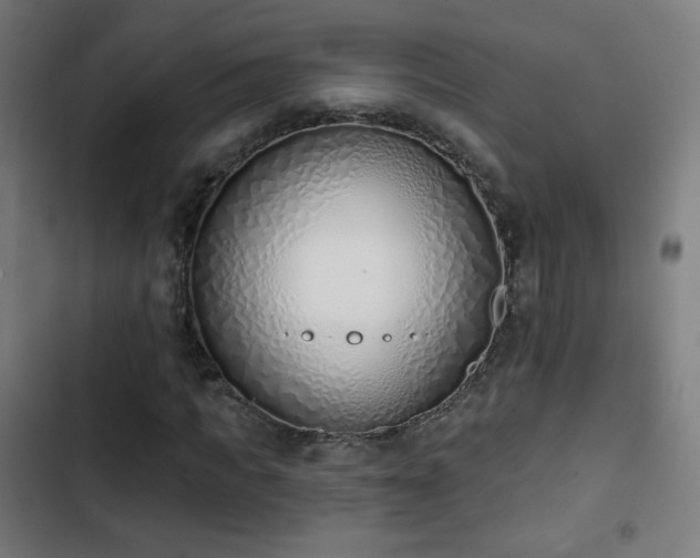 X0000103440917200809121359
