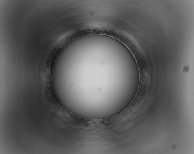 X0000103440918200809121359