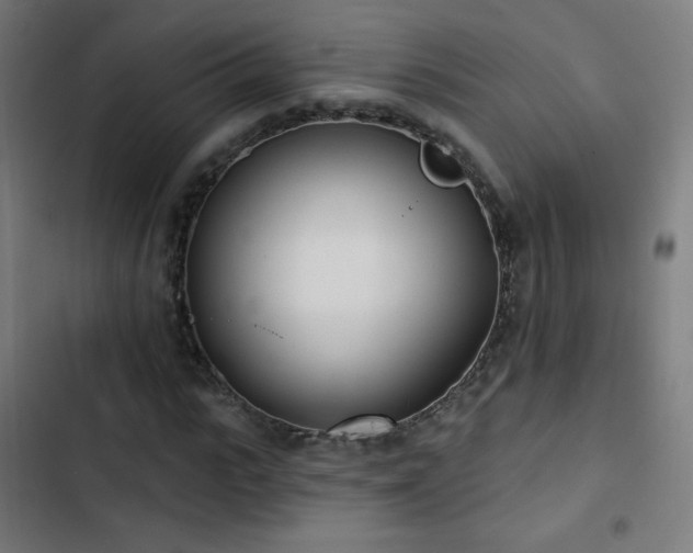 X0000103440919200809121359
