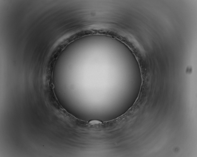 X0000103440920200809121400