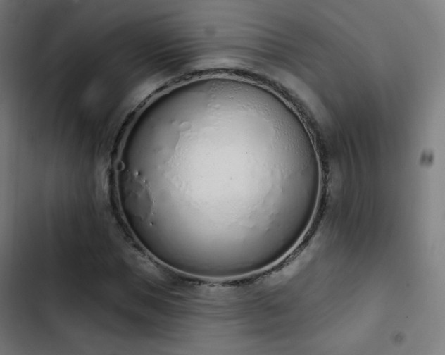 X0000103440921200809121400
