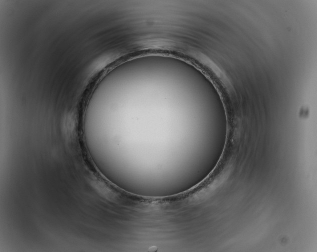 X0000103440922200809121400