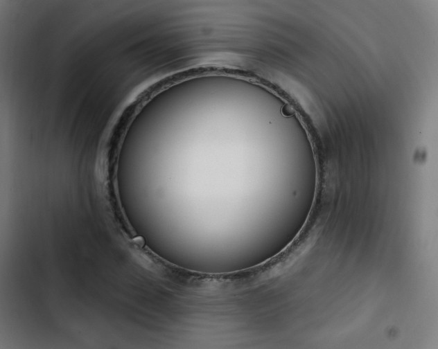 X0000103440923200809121400