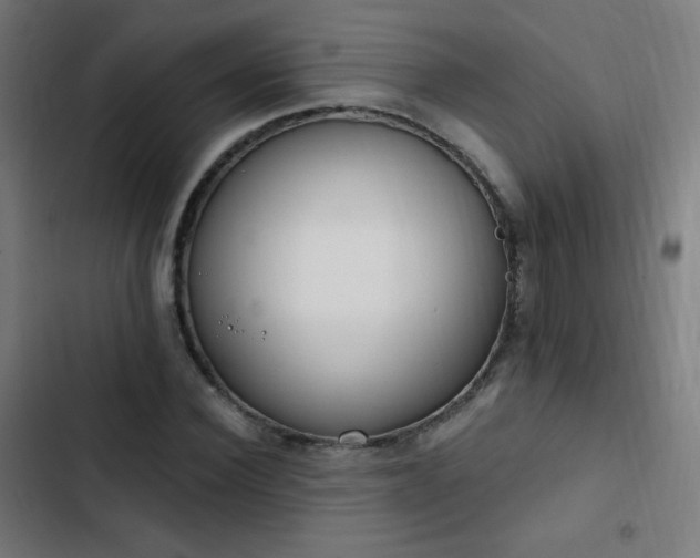 X0000103440924200809121400
