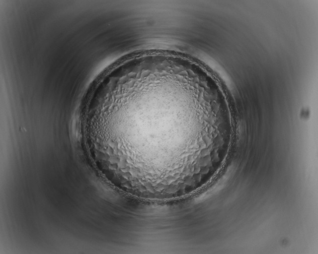 X0000103440925200809121400