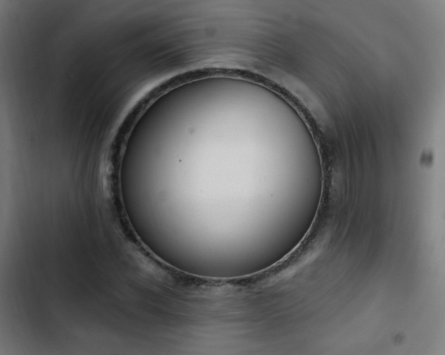 X0000103440926200809121400