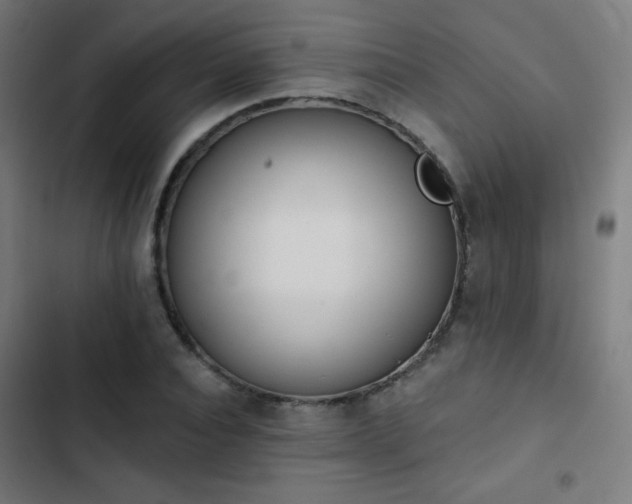 X0000103440928200809121400