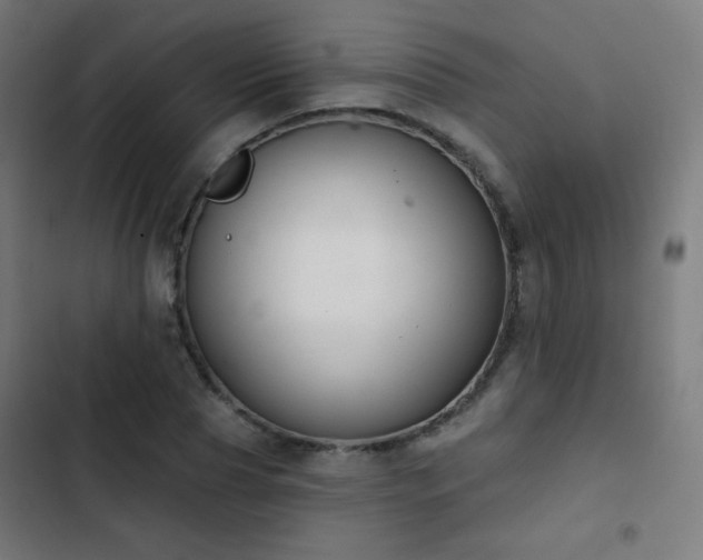 X0000103440929200809121400