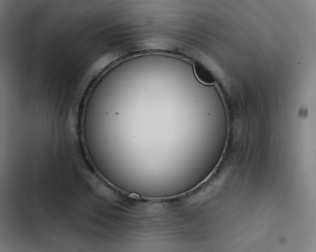 X0000103440930200809121400